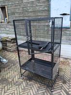 Kooi voor knaagdieren, Ophalen, 75 tot 110 cm, Kooi, Minder dan 60 cm