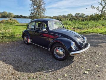 Volkswagen 1200 1.2 Kever 1984 Blauw beschikbaar voor biedingen