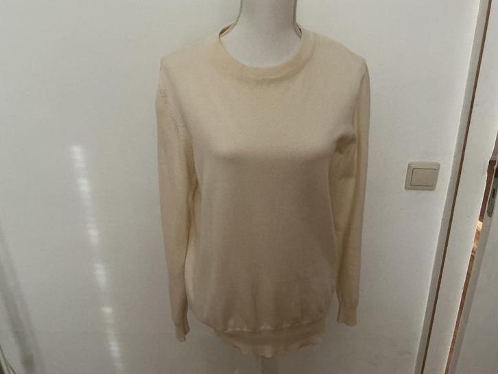 RBLZ COLLECTION TRUI XL NIEUW, Kleding | Dames, Truien en Vesten, Nieuw, Maat 46/48 (XL) of groter, Beige, Ophalen of Verzenden