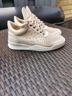 Filling pieces dames sneakers maat 37 zo goed als nieuw, Kleding | Dames, Beige, Ophalen of Verzenden, Zo goed als nieuw, Sneakers of Gympen