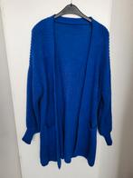 Gebreid vest blauw, Ophalen of Verzenden, Zo goed als nieuw, Blauw