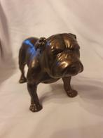 Beeld engelse bulldog, Ophalen of Verzenden, Zo goed als nieuw, Dier