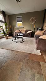 Luxe Vloerkleden | Prachtige Kwaliteit & Direct Leverbaar, Ophalen, Warm & Chique uitstraling, 200 cm of meer, Rechthoekig