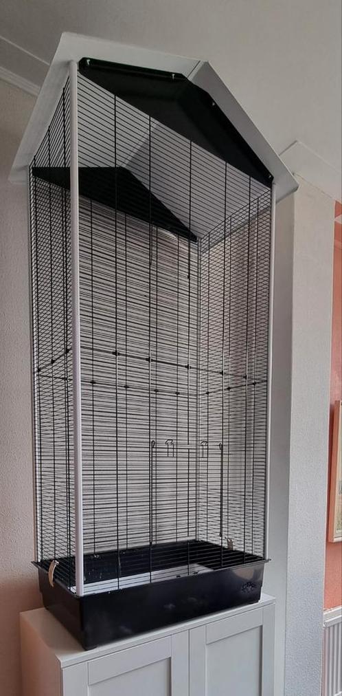 Grootte vogelkooi + speeltjes. Zwart, Dieren en Toebehoren, Vogels | Hokken en Kooien, Zo goed als nieuw, Vogelkooi, Metaal, Ophalen