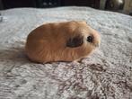 3 mooie california beren, Dieren en Toebehoren, Knaagdieren, Cavia, Mannelijk, Juli, Tam