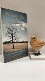 Valen, L.J. van; Wonderlijke redding uit grote benauwdheid, Ophalen of Verzenden, Gelezen, Christendom | Protestants