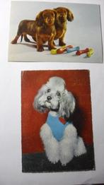 Oude Dierenkaarten, Verzenden, 1920 tot 1940, Paard