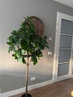 Ikea Fekja Magnolia kunstplant, Huis en Inrichting, Ophalen, Zo goed als nieuw, Binnen