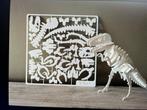 T rex, Ophalen of Verzenden, Zo goed als nieuw, Overige typen