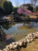 Vijveronderdelen, Tuin en Terras, Vijver-toebehoren, Ophalen, Gebruikt, Vijverpomp