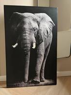 Canvas olifant 115x75cm, Ophalen, Zo goed als nieuw, Schilderij, 75 tot 100 cm