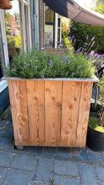 Plantenbak / verhoogd tuinbed (2 stuk), Ophalen, Tuin, Zo goed als nieuw, 60 tot 100 cm