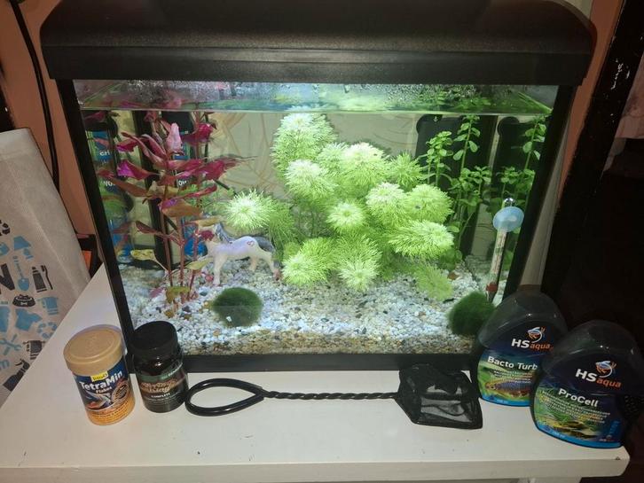 Aquarium 30L incl. Vissen en Garnalen, Dieren en Toebehoren, Vissen | Aquaria en Toebehoren, Zo goed als nieuw, Gevuld zoetwateraquarium