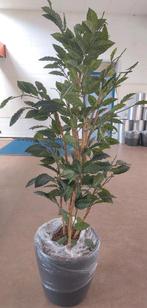 Coffea & Croton Kunstplanten in Pot, Huis en Inrichting, Kamerplanten, Ophalen, In pot, Halfschaduw, 150 tot 200 cm