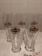5 bierglazen Brouwers Bier AH Light, Ophalen, Nieuw, Glas of Glazen, Overige merken