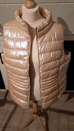 Mooie Paprika bodywarmer maat 46/48, Kleding | Dames, Bodywarmers, Paprika, Ophalen of Verzenden, Zo goed als nieuw