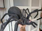 Papier-maché spin voor Halloween!, Ophalen, Gebruikt