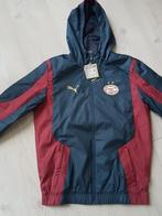 PSV Puma heren stadionjas in maat small, Ophalen of Verzenden, Zo goed als nieuw, Maat 46 (S) of kleiner, Blauw