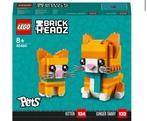 Gezocht: LEGO Brickheadz 40480 - Kitten en Ginger Tabby, Ophalen, Zo goed als nieuw, Complete set, Lego