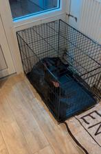 Grote zwarte honden bench, nieuwe staat, Dieren en Toebehoren, Hondenbenches, Ophalen of Verzenden, Zo goed als nieuw