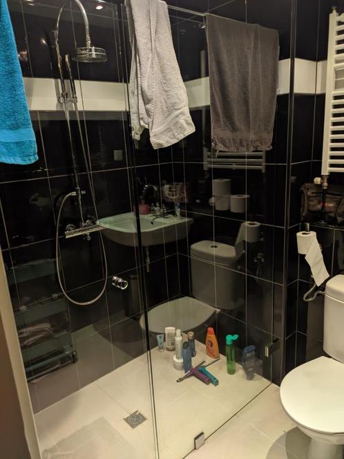 Douchewand met deur 150 x 195cm 8mm glas, Doe-het-zelf en Verbouw, Sanitair, Gebruikt, Douche, Glas, Ophalen