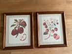 Keuken Lijstjes - Appel & Aardbei, Ophalen of Verzenden, Gebruikt, Print, Minder dan 50 cm