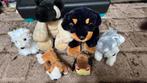 Knuffel hond, Kinderen en Baby's, Speelgoed | Knuffels en Pluche, Ophalen of Verzenden, Nieuw, Hond