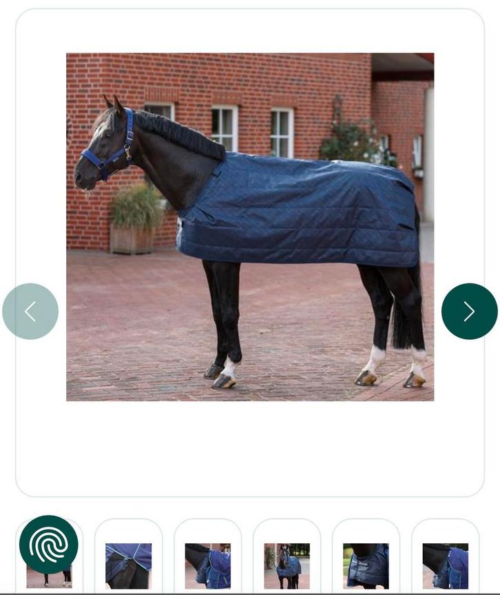 Bucas liner 150g, Dieren en Toebehoren, Paarden en Pony's | Dekens en Dekjes, Zo goed als nieuw, Ophalen of Verzenden