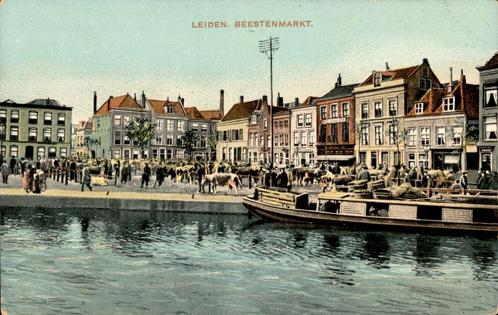 Leiden Beestenmarkt met koehandel, Verzamelen, Ansichtkaarten | Nederland, Ongelopen, Zuid-Holland, Voor 1920, Ophalen of Verzenden