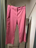 Expresso rib broek roze 44, Maat 42/44 (L), Ophalen of Verzenden, Zo goed als nieuw, Roze