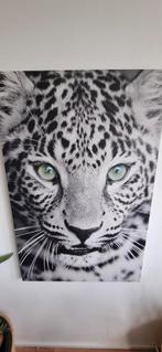 Canvas luipaard, Huis en Inrichting, Ophalen of Verzenden, Schilderij