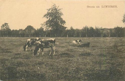 (387-057-009) Lunteren Groete uit, Verzamelen, Ansichtkaarten | Nederland, Gelderland, Verzenden