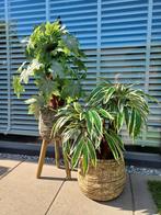 2x prachtige kunstplanten nieuw, Huis en Inrichting, Kamerplanten, Ophalen of Verzenden, Overige soorten, Minder dan 100 cm