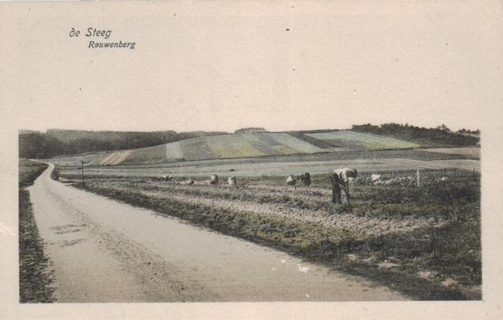 0162 De Steeg Rouwenberg 1920 gelopen, Verzamelen, Ansichtkaarten | Nederland, Ongelopen, Gelderland, Voor 1920, Ophalen of Verzenden