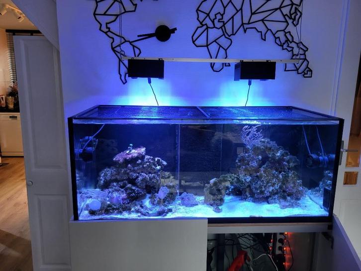 Aquaja diamond line 535, Dieren en Toebehoren, Vissen | Aquaria en Toebehoren, Gebruikt, Leeg aquarium, Ophalen