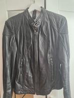 Leul, leren (motor)jack van Gipsy, Kleding | Dames, Ophalen of Verzenden, Zo goed als nieuw, Maat 38/40 (M), Zwart