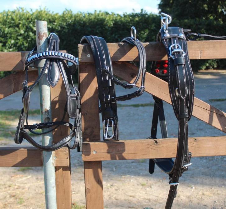 Te koop shetlander mentuig zwart roze doorstikt nieuw, Dieren en Toebehoren, Paarden en Pony's | Hoofdstellen en Tuigage, Nieuw