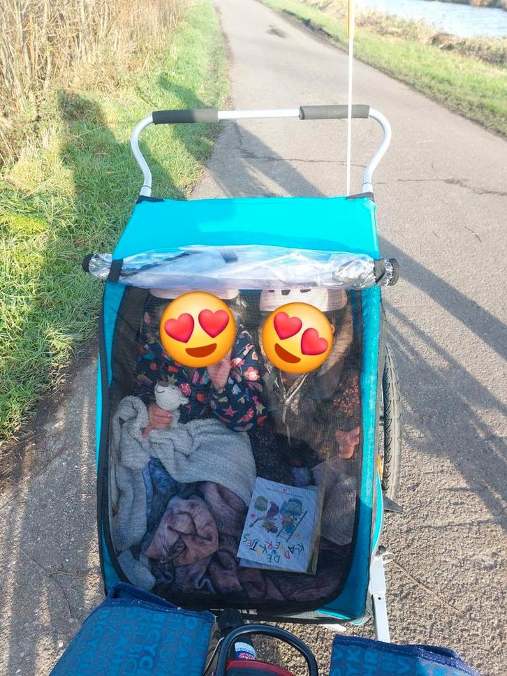 Thule Fietskar - Perfect voor avonturen!, Fietsen en Brommers, Fietsaccessoires | Aanhangers en Karren, Gebruikt, Kinderkar, 40 tot 60 kg