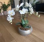Orchideeën met pot (nep plant), Huis en Inrichting, Ophalen, Overige soorten, Minder dan 100 cm