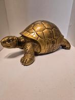 Gouden Schildpad Polyester - 30cm, Ophalen of Verzenden