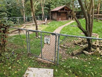 Ongeveer 55 meter hekwerk, alles 100 euro beschikbaar voor biedingen