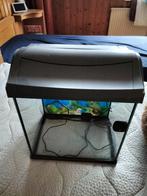 Tetra aquarium met dag/nacht licht, Ophalen, Zo goed als nieuw, Leeg aquarium