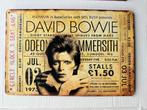 David Bowie Odeon  1973  bord metaa 30 bij 20, Ophalen of Verzenden, Gebruikt, Poster, Artwork of Schilderij