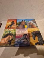 14x Christine Linneweever / Gouden paardenboeken, Ophalen of Verzenden, Zo goed als nieuw