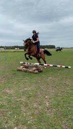 Talentvolle D pony te koop, Dieren en Toebehoren, Gechipt, Ruin, Dressuurpony, M