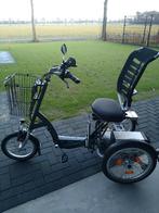 Van Raam Easy Go, Ophalen, Zo goed als nieuw, Van Raam