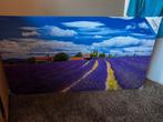 Outdoor & Indoor schilderij lavendeltuin, Ophalen of Verzenden