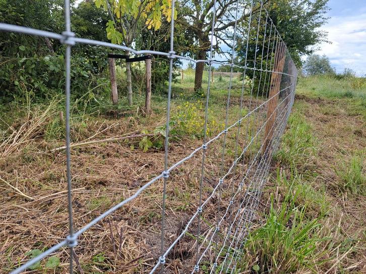 Schapengaas geplaatst heel NL normale prijs klein bedrijf, Tuin en Terras, Gaas en Draad, Nieuw, Gaas, 20 meter of meer, Ophalen of Verzenden