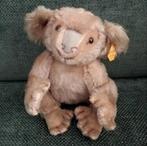 Oude steiff koala beer bear 22cm vintage zeldzaam, Verzamelen, Ophalen, Zo goed als nieuw, Stoffen beer, Steiff