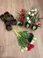 Partij countryfield tulpen NIEUW, Ophalen, BlitzzzDeco, 7471GA, Nieuw